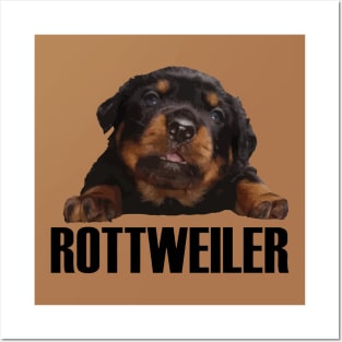 Rottweiler Lover Cute Baby Rottie Cut Out Posters and Art